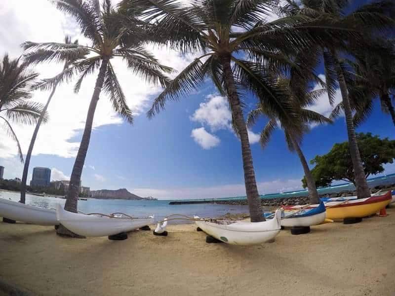 Pai’aina regatta 6/5/2016